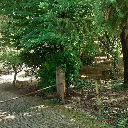 Cabana Da Oliveira Marco de Canavezes Eksteriør billede