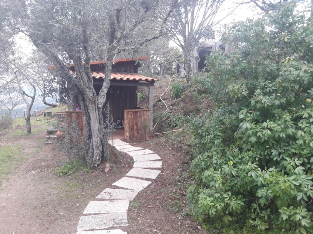 Cabana Da Oliveira Marco de Canavezes Eksteriør billede