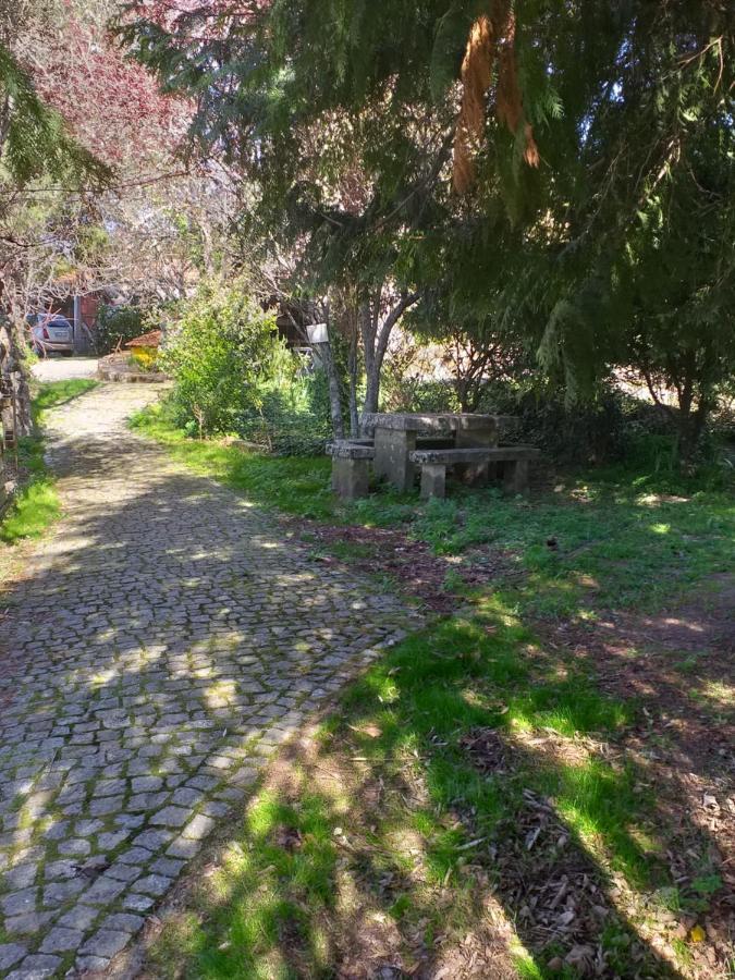 Cabana Da Oliveira Marco de Canavezes Eksteriør billede