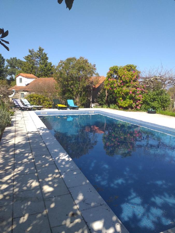 Cabana Da Oliveira Marco de Canavezes Eksteriør billede