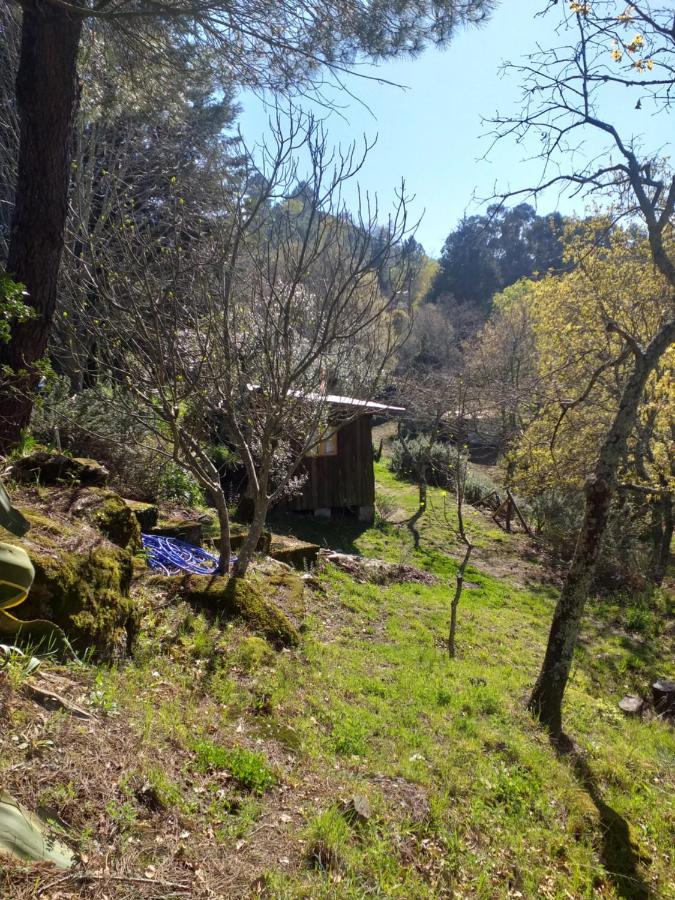 Cabana Da Oliveira Marco de Canavezes Eksteriør billede